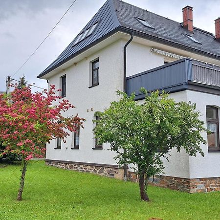 Ferienwohnungen Reiterhof Lienemann Grünbach Eksteriør bilde